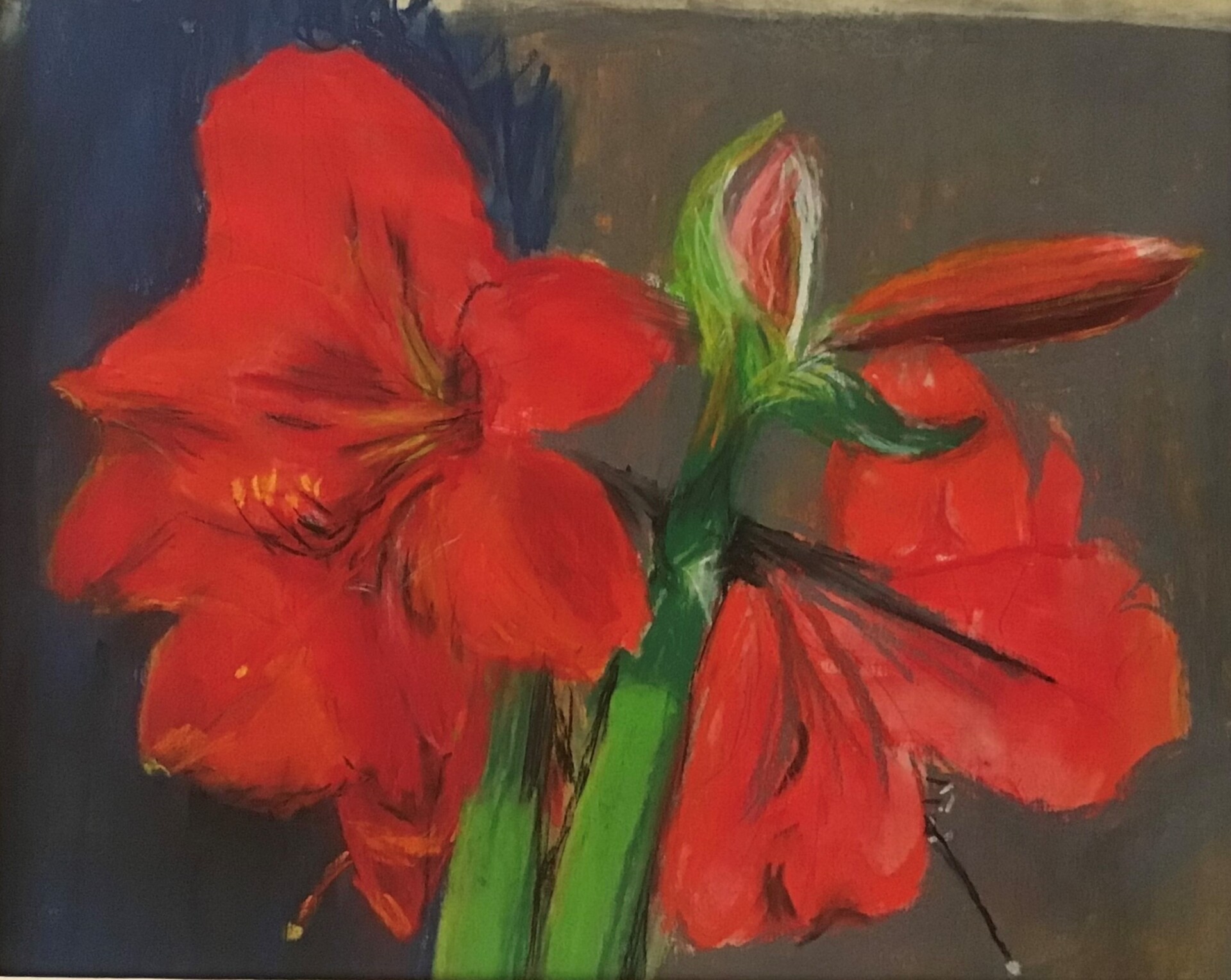 Amaryllis: My First-Ever Pastel