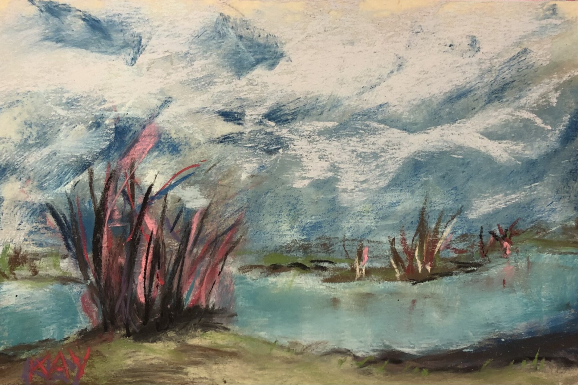 Windy Park Day In Newsletter March 2022