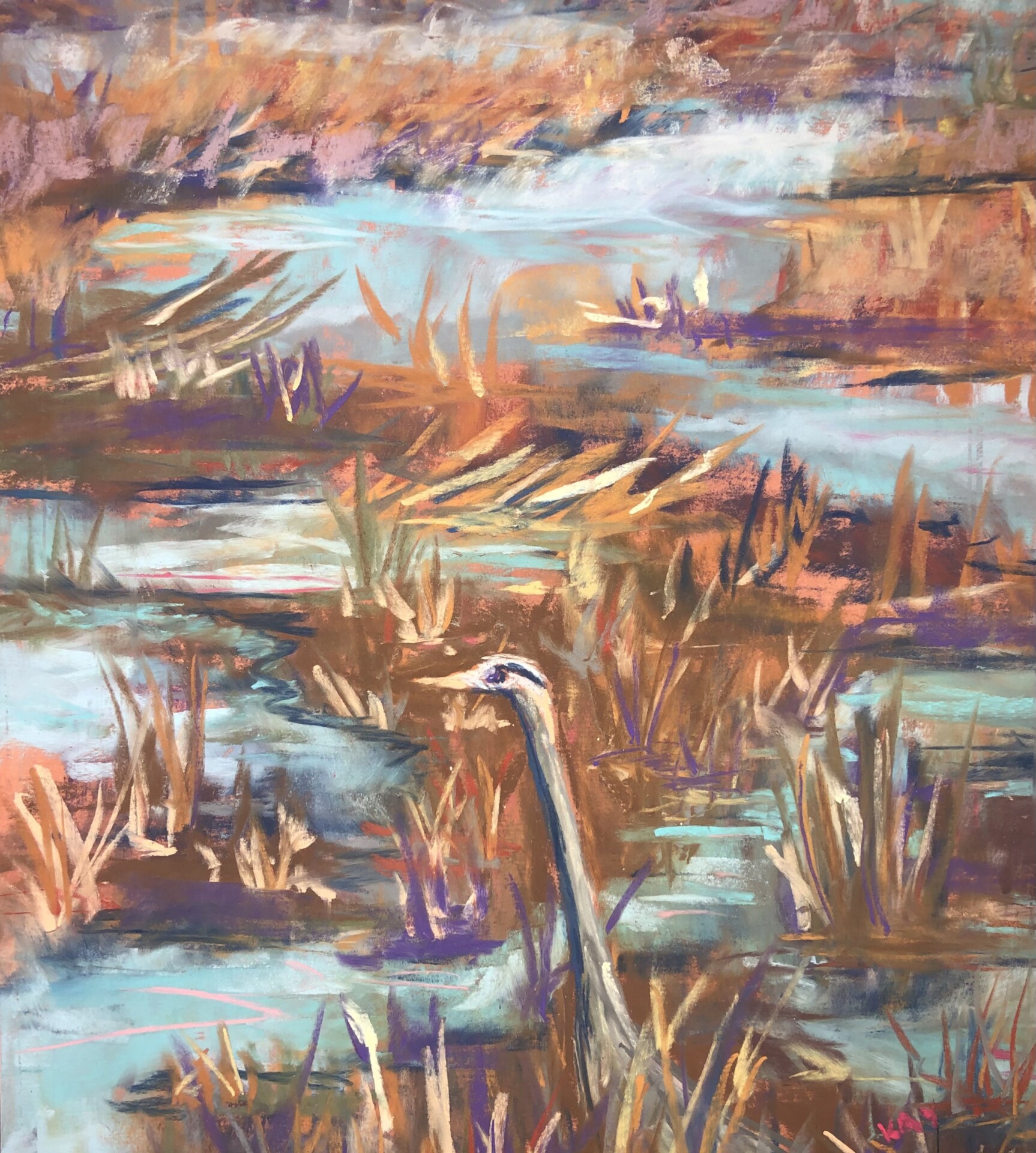 Cape Cod Great Blue