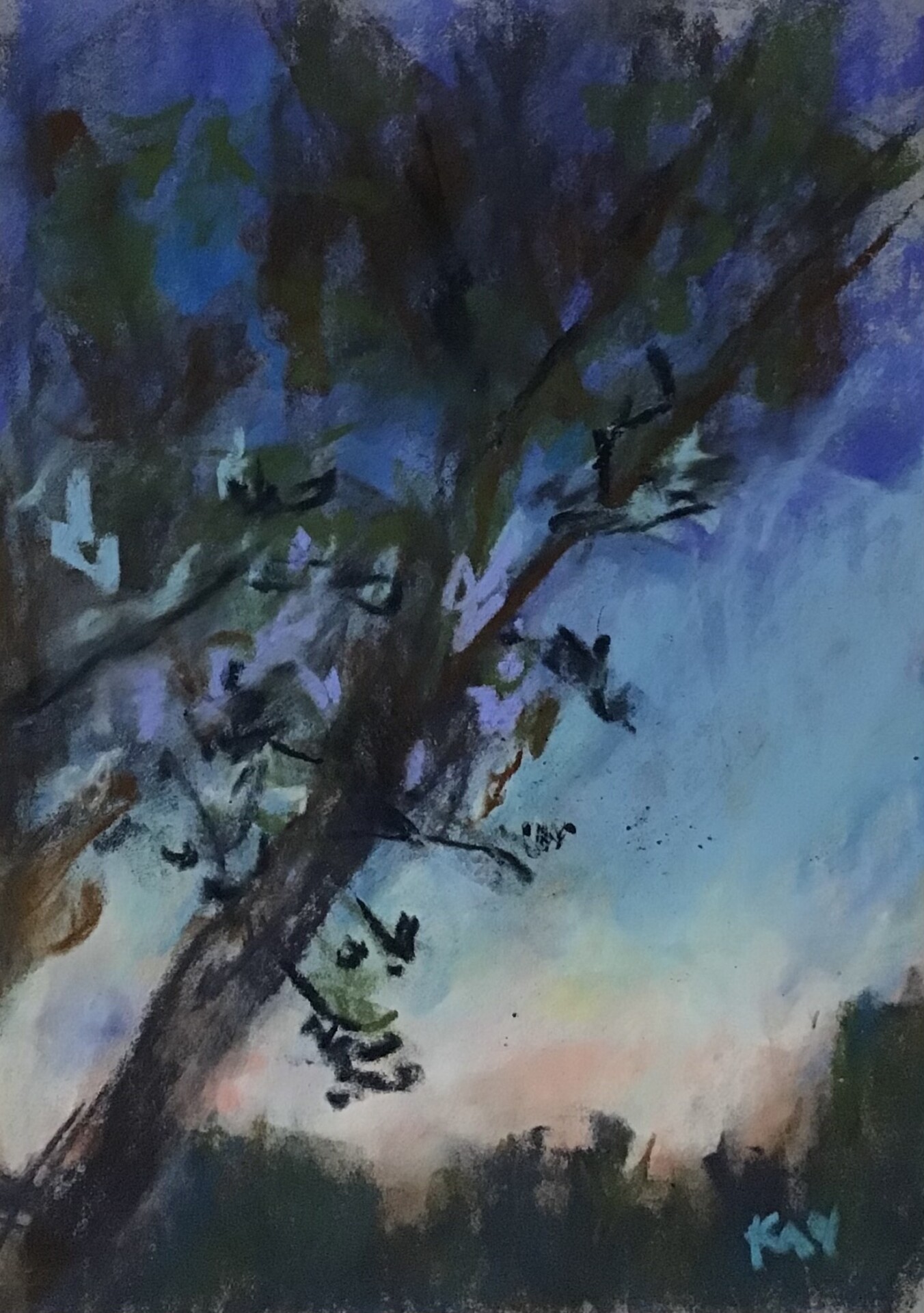 The Blue Hour