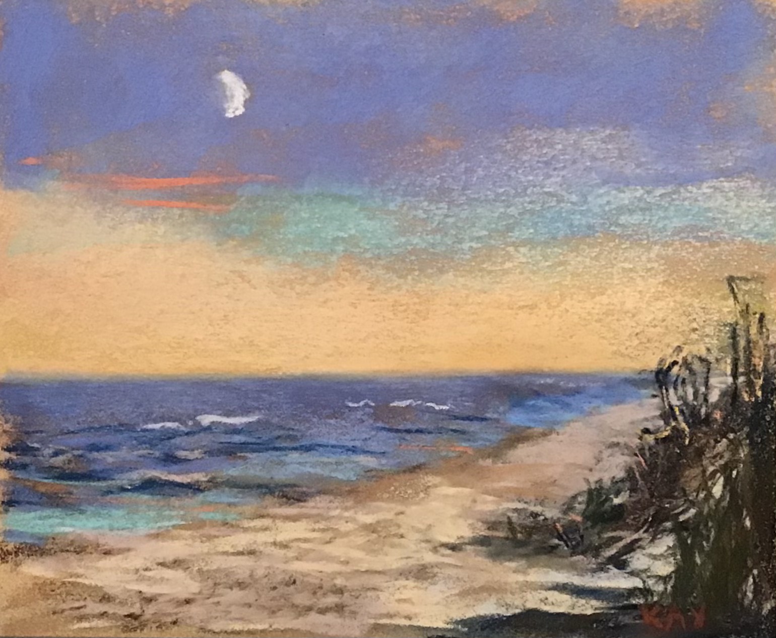Coast Guard Beach 1